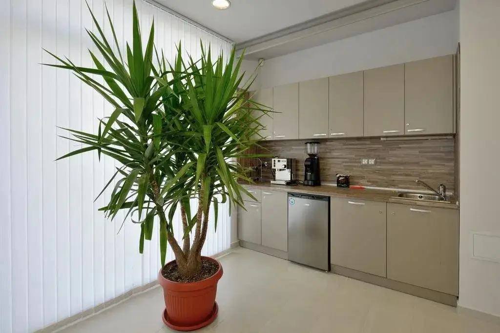 Хисаря: Astoria Aparthotel