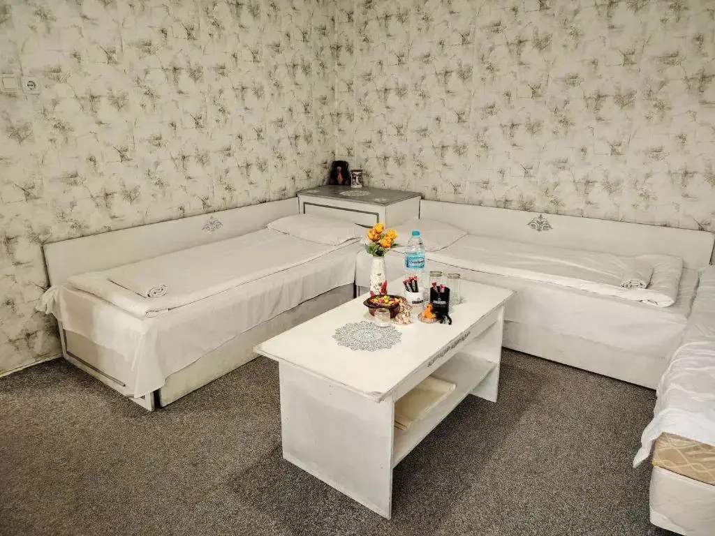 Дупница: Guest House Emiliya
