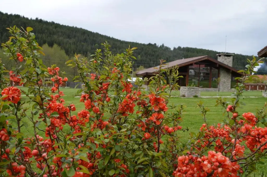 Разлог: Gostnici Holiday Home
