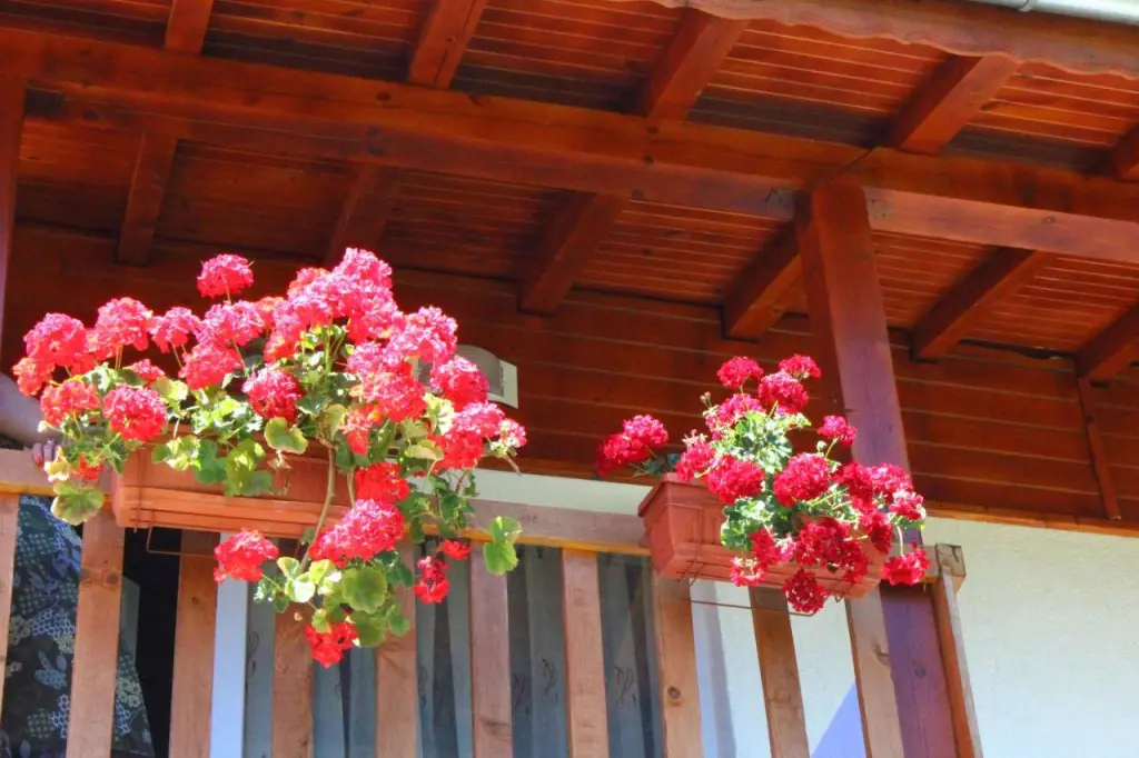 Долен: Guesthouses Prav Kamen