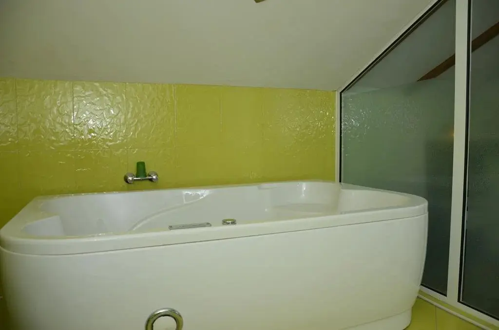 Копривштица: Family Hotel Vejen