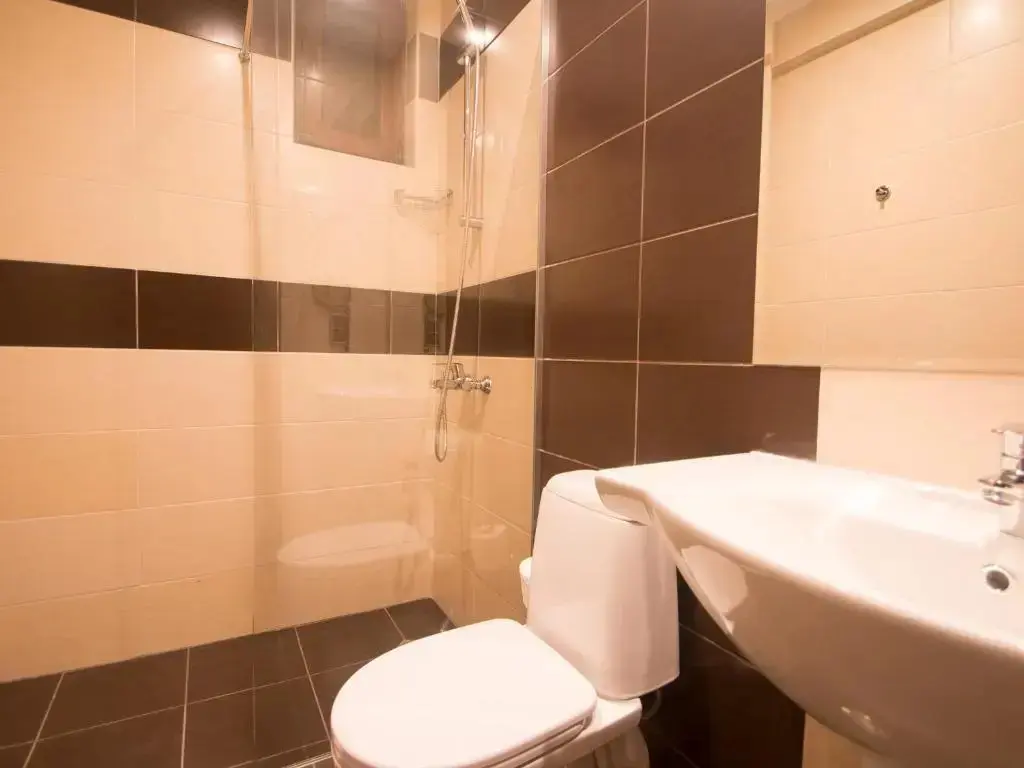 Велико Тырново: Park Hotel Asenevtsi
