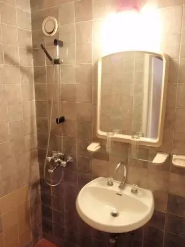 Пампорово: Hotel Rozhen