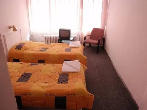 Пампорово: Hotel Rozhen
