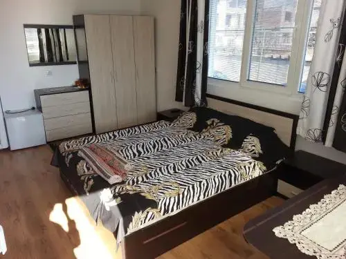 Баня: Guest House Natali