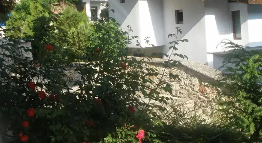 Балчик: Hotel Los Dos Gallos (Dvata Petela)