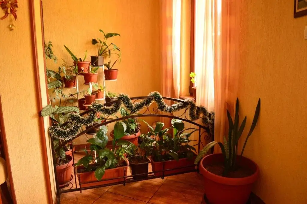 Дупница: Hotel Krusharskata Kashta