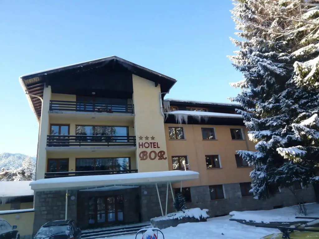 Hotel Bor — фото 1