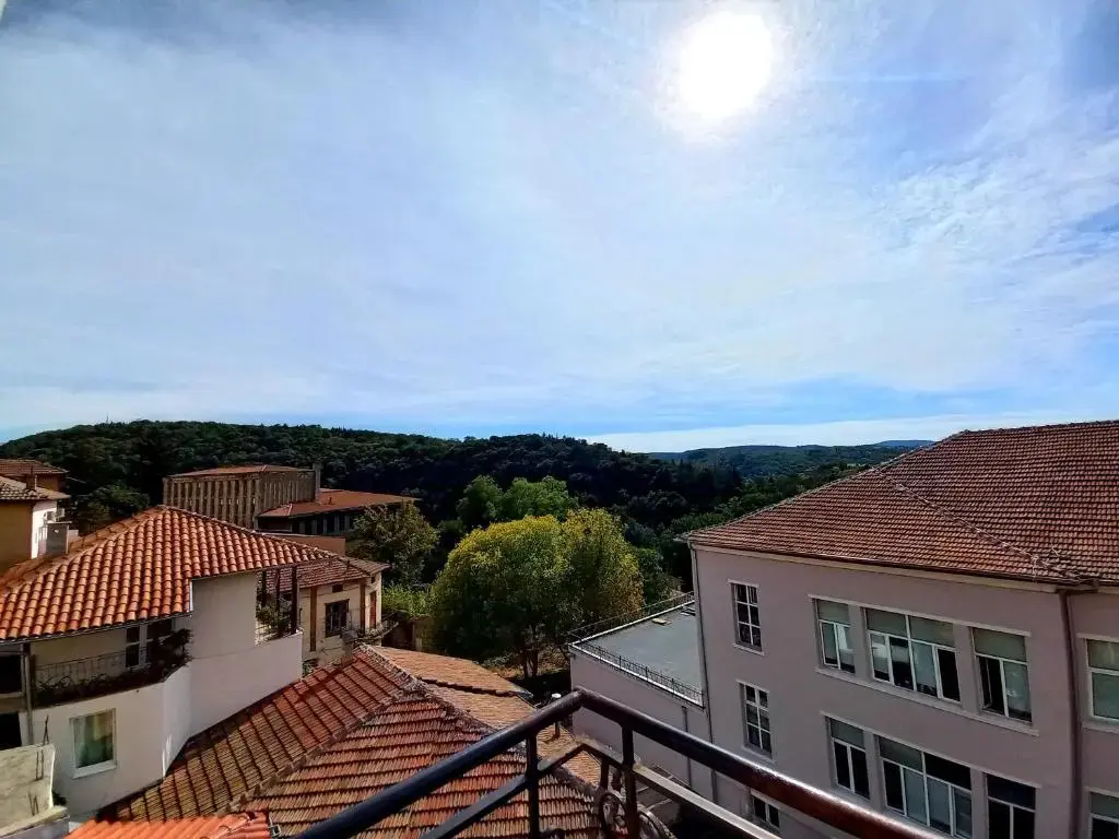 Велико Тырново: Hotel Tarnava