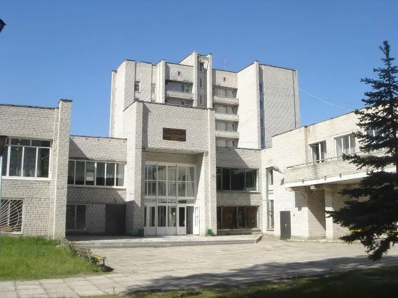 Отель Сосновый бор — фото 1