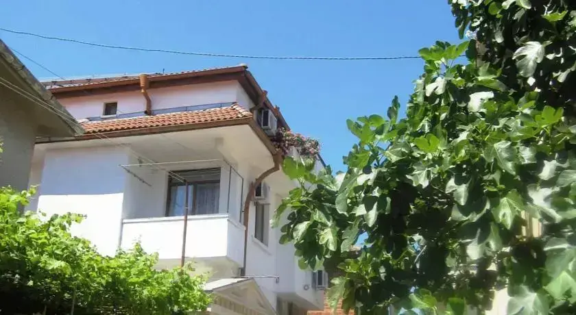 Созополь: Guesthouse Olimp