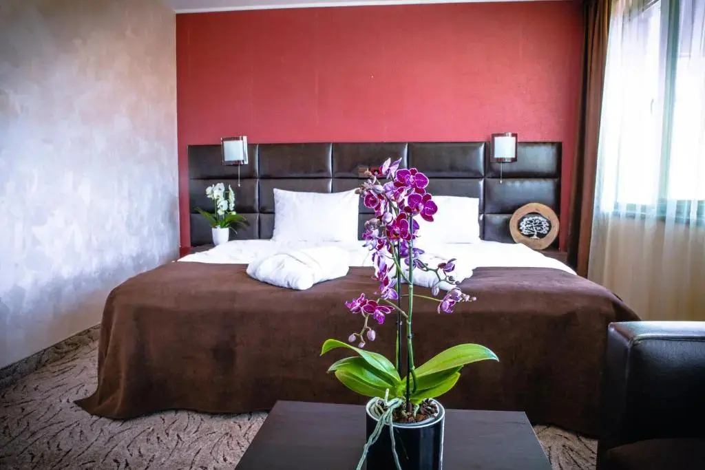 Велинград: Zdravets Hotel Wellness & SPA