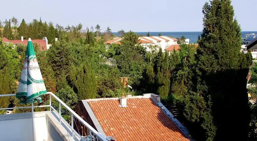 Солнечный берег: Flower Guest House