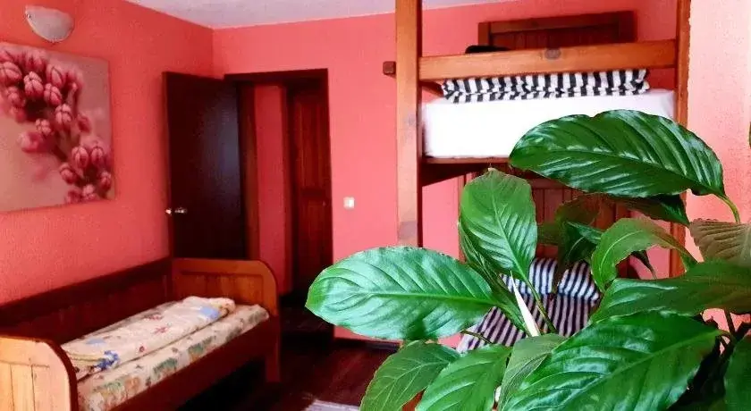 Банско: Hotel Avalon