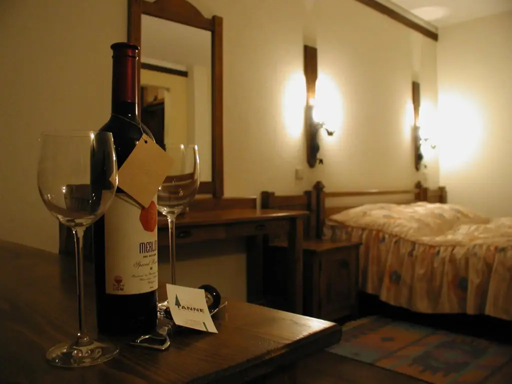 Банско: Hotel Tanne