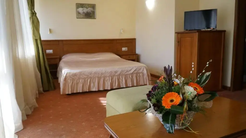 Троян: Troyan Plaza Hotel