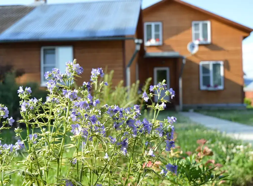 Суздаль: Viktoria Guest House