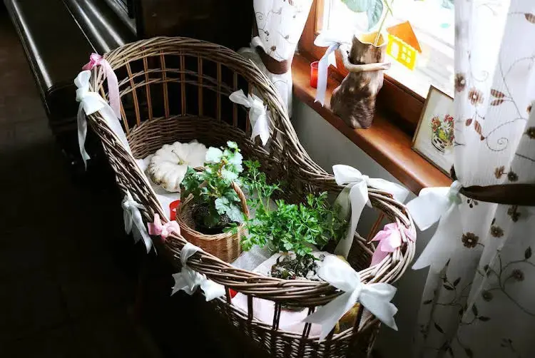 Суздаль: Vintazh Otel Surikova