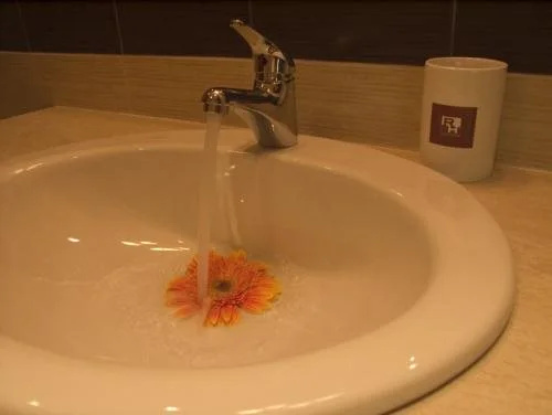 Видин: Rovno Hotel