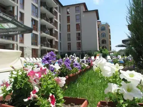 Солнечный берег: Sunny View North Apartments