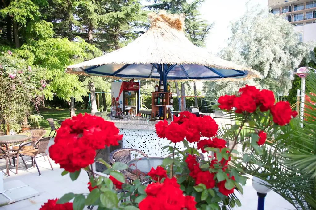 Солнечный берег: Dunav Hotel - Все включено