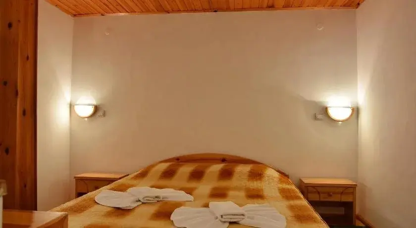Банско: Hotel Vihren