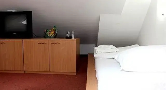 Варна: Citius Hotel