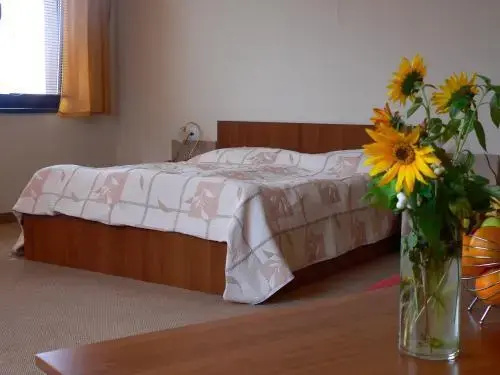 Самоков: Bistrica Hotel