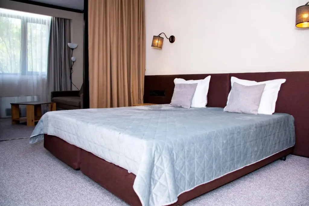 Банско: Hotel Orphey