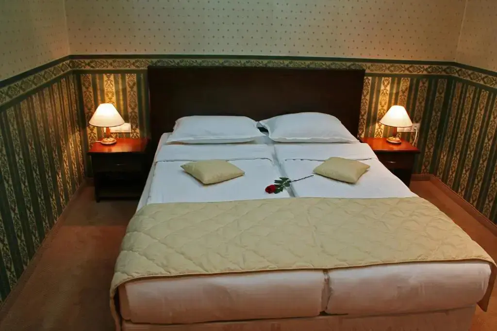 Троян: Chateau Montagne Hotel Troyan