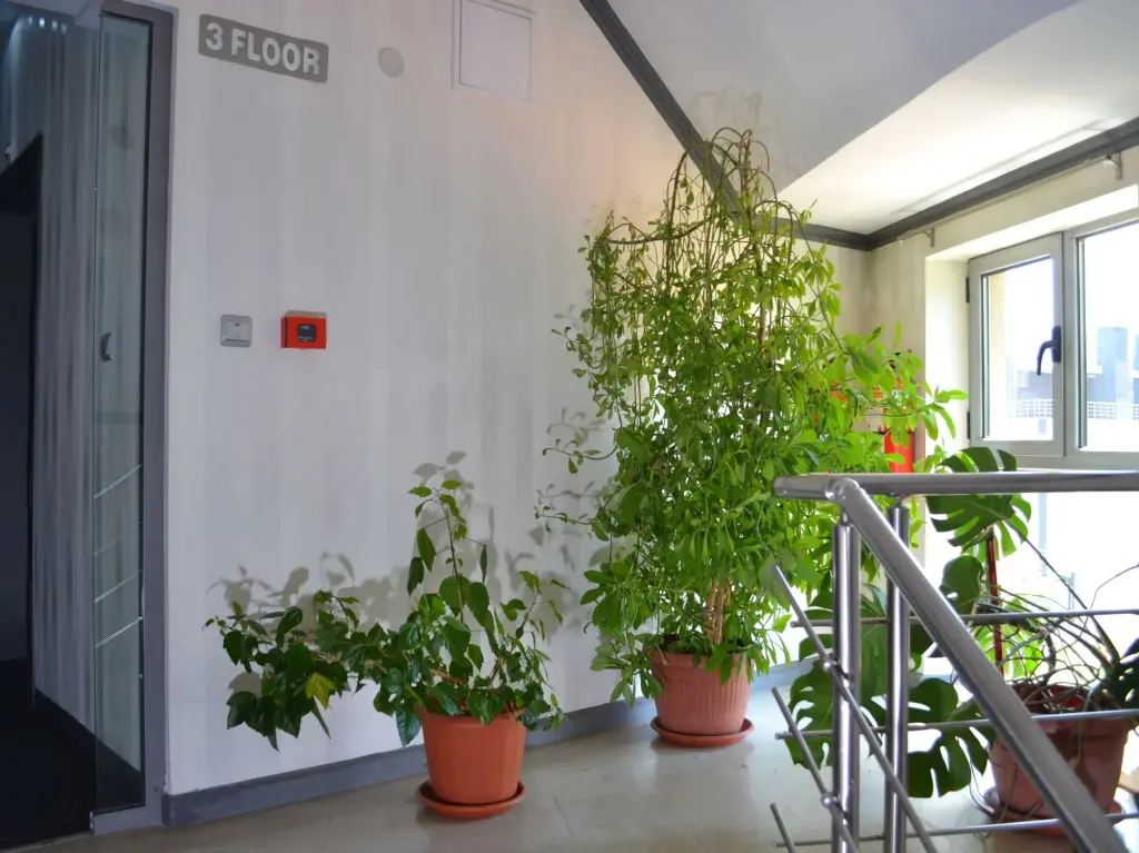 София: Elate Plaza Business Hotel