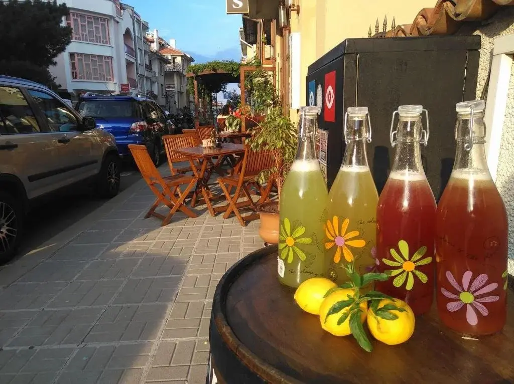 Созополь: Hotel Albatros New Town