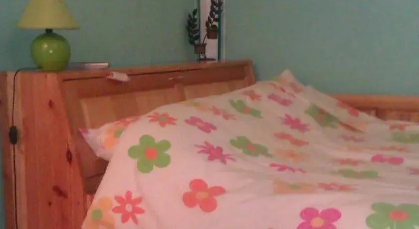 Копривштица: Guest House Edelweiss
