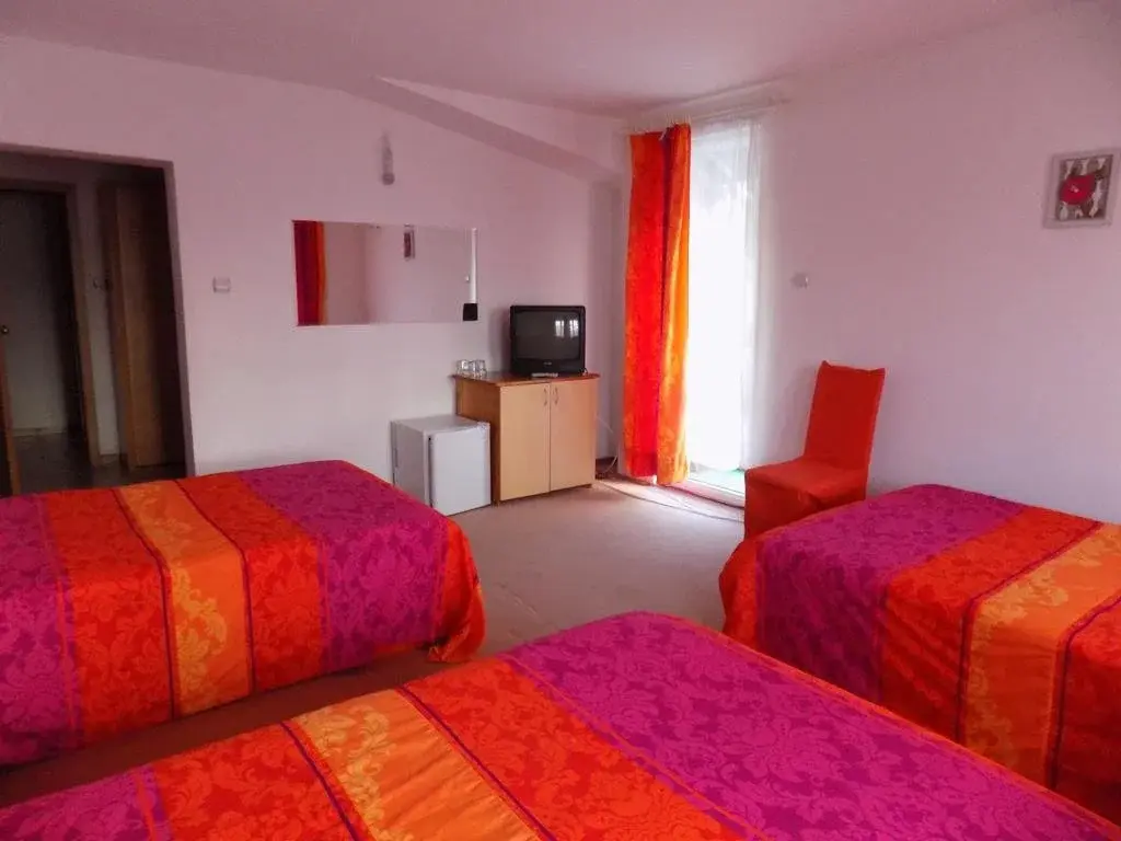 Тетевен: Family Hotel Vit