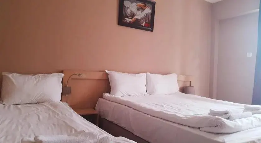 Дупница: Hotel Panorama