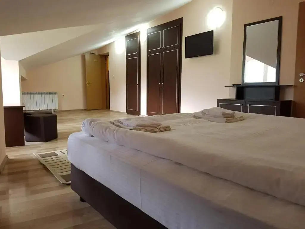 Дупница: Hotel Panorama
