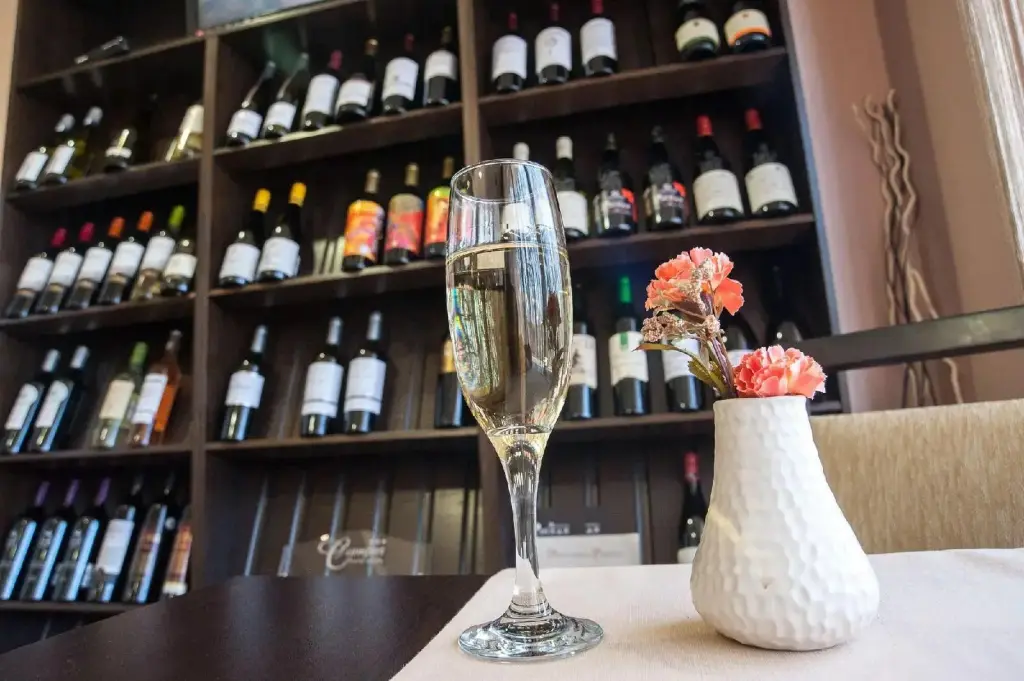 Хисаря: C Comfort Hotel & Wellness