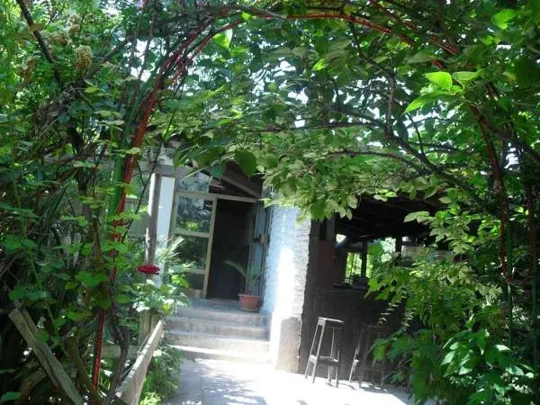 Варна: X Hostel Varna