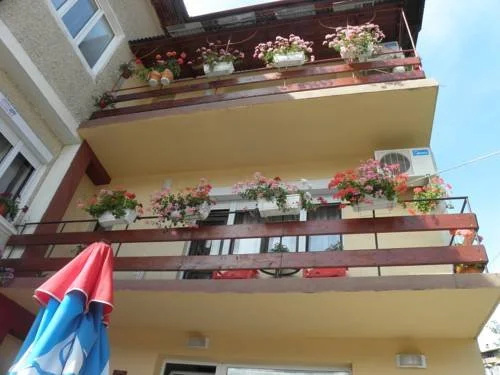 Family Hotel Vityaz House — фото 1