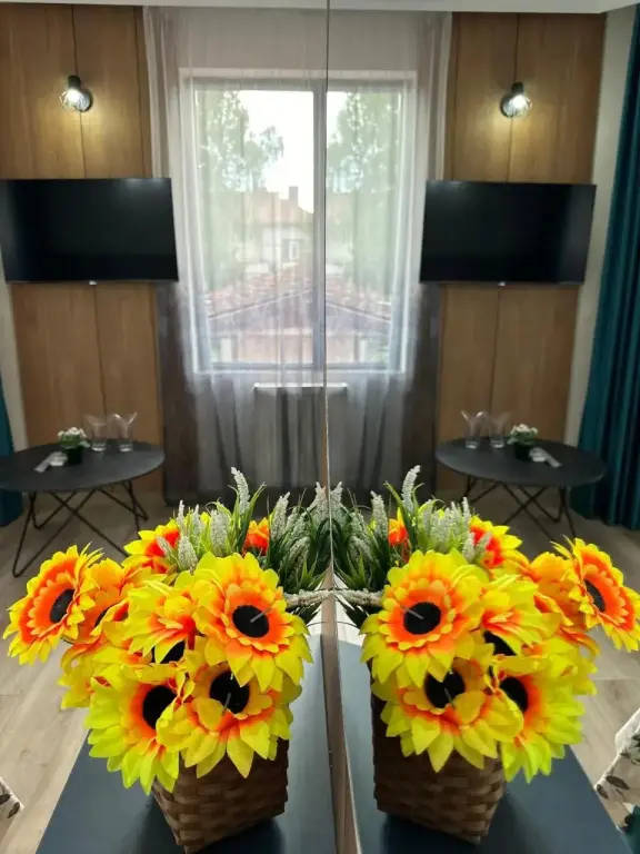 Велинград: Guest House Neliya
