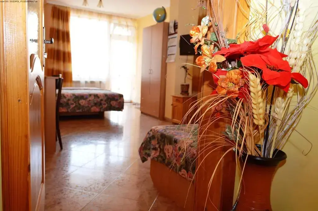 Созополь: Guest House Mistral