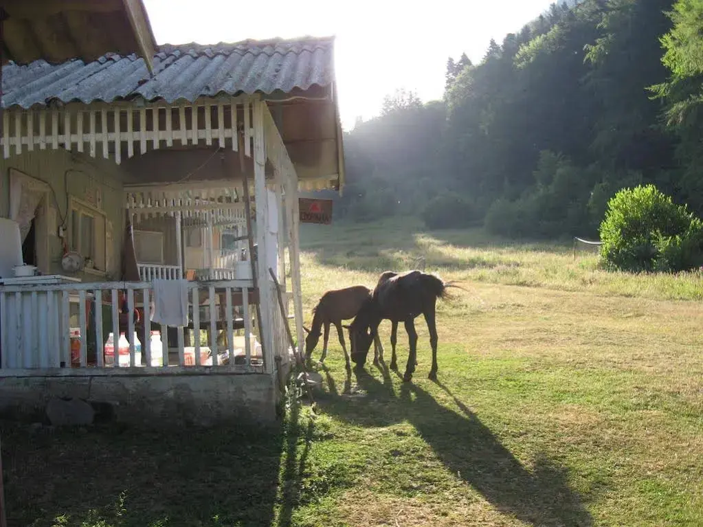 Рилски манастир: Hlebna Bungalows
