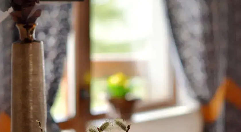 Чепеларе: The Poppies House