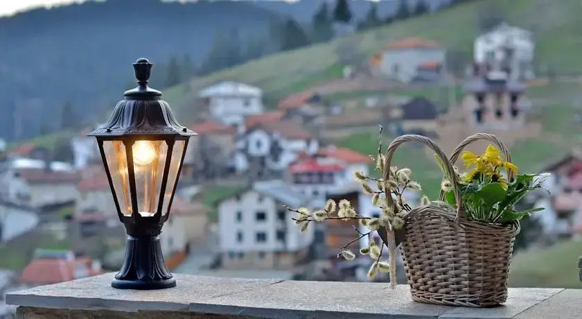 Чепеларе: The Poppies House