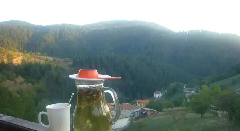 Чепеларе: Momchil Unak Guest House