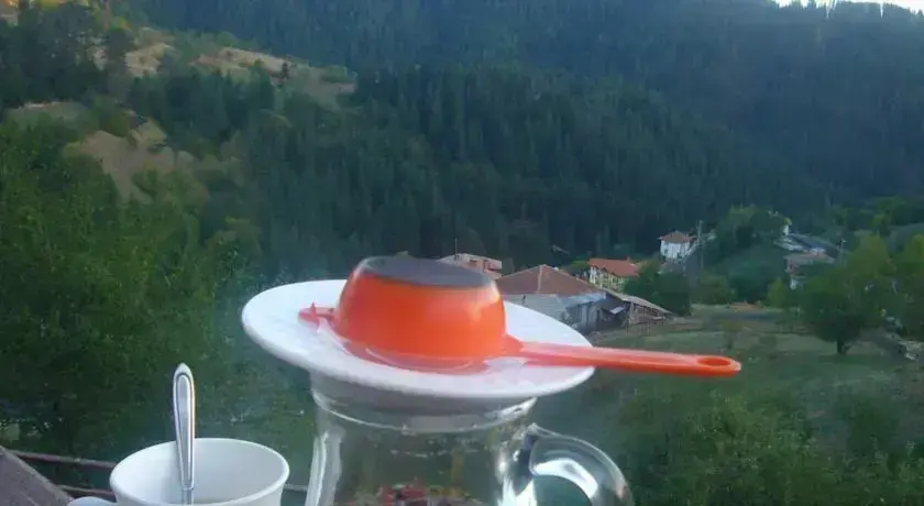 Чепеларе: Momchil Unak Guest House