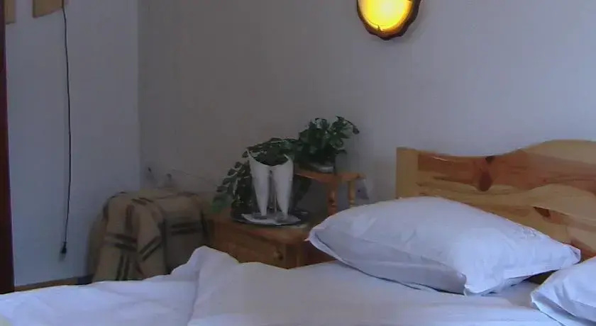 Копривштица: Guest House Chiko