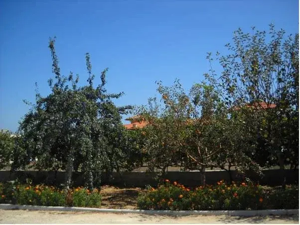 Бяла: Sani Family Hotel