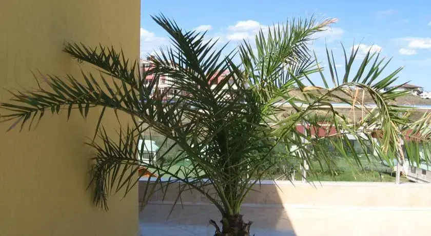 Царево: Hotel Koraba