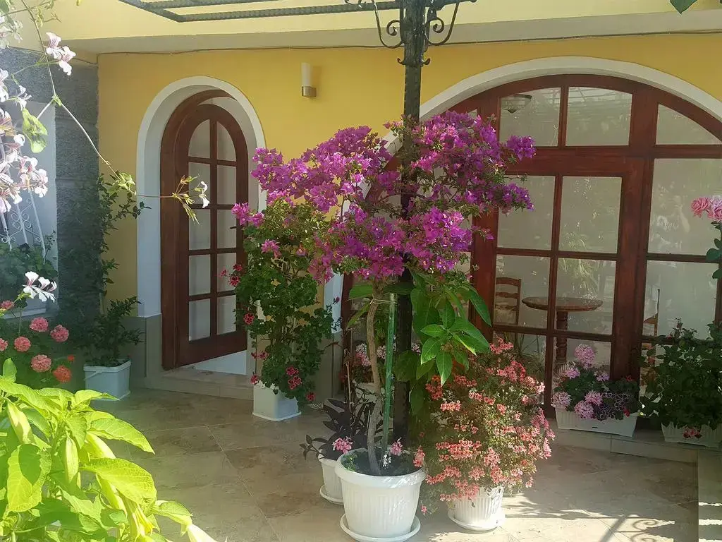 Китен: Family hotel Green Home